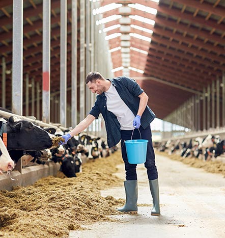 ÇALIŞMA ALANLARIMIZ