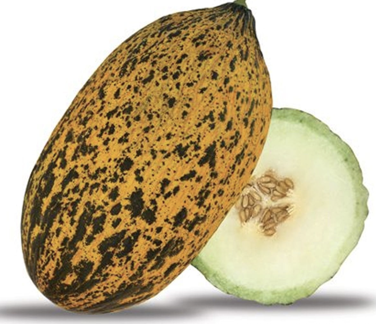 Kırkağaç Kavun Fidesi