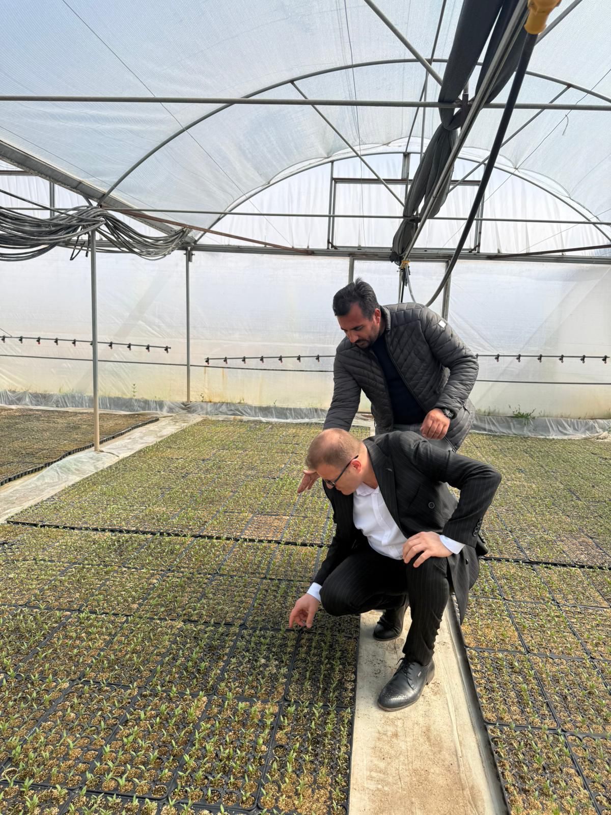 ÇETİN FİDECİLİK VE SERACILIK