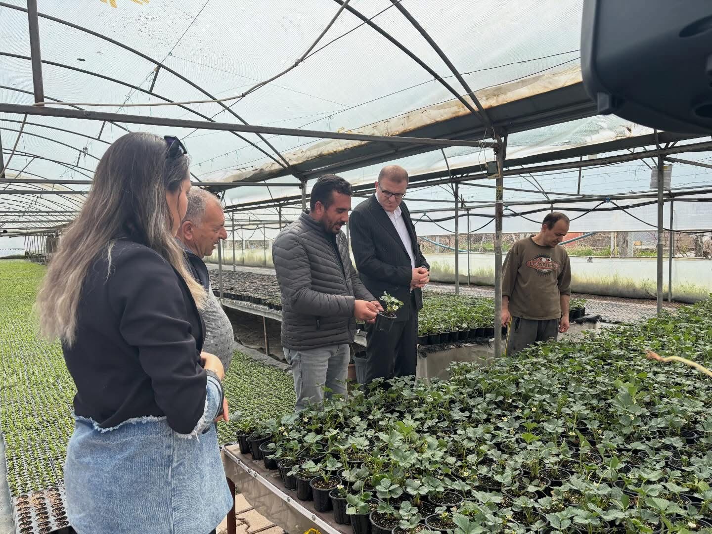 ÇETİN FİDECİLİK VE SERACILIK