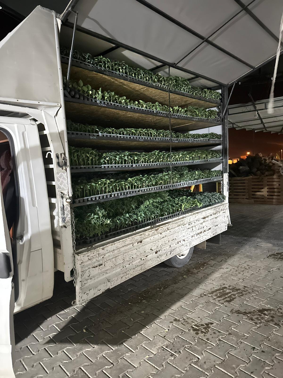 ÇETİN FİDECİLİK VE SERACILIK