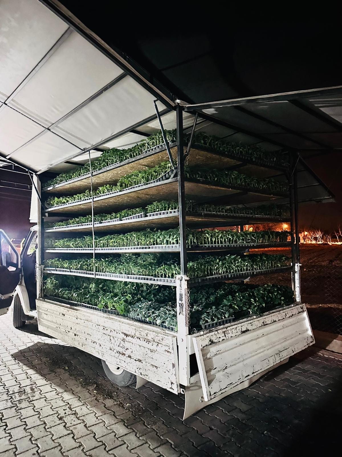 ÇETİN FİDECİLİK VE SERACILIK