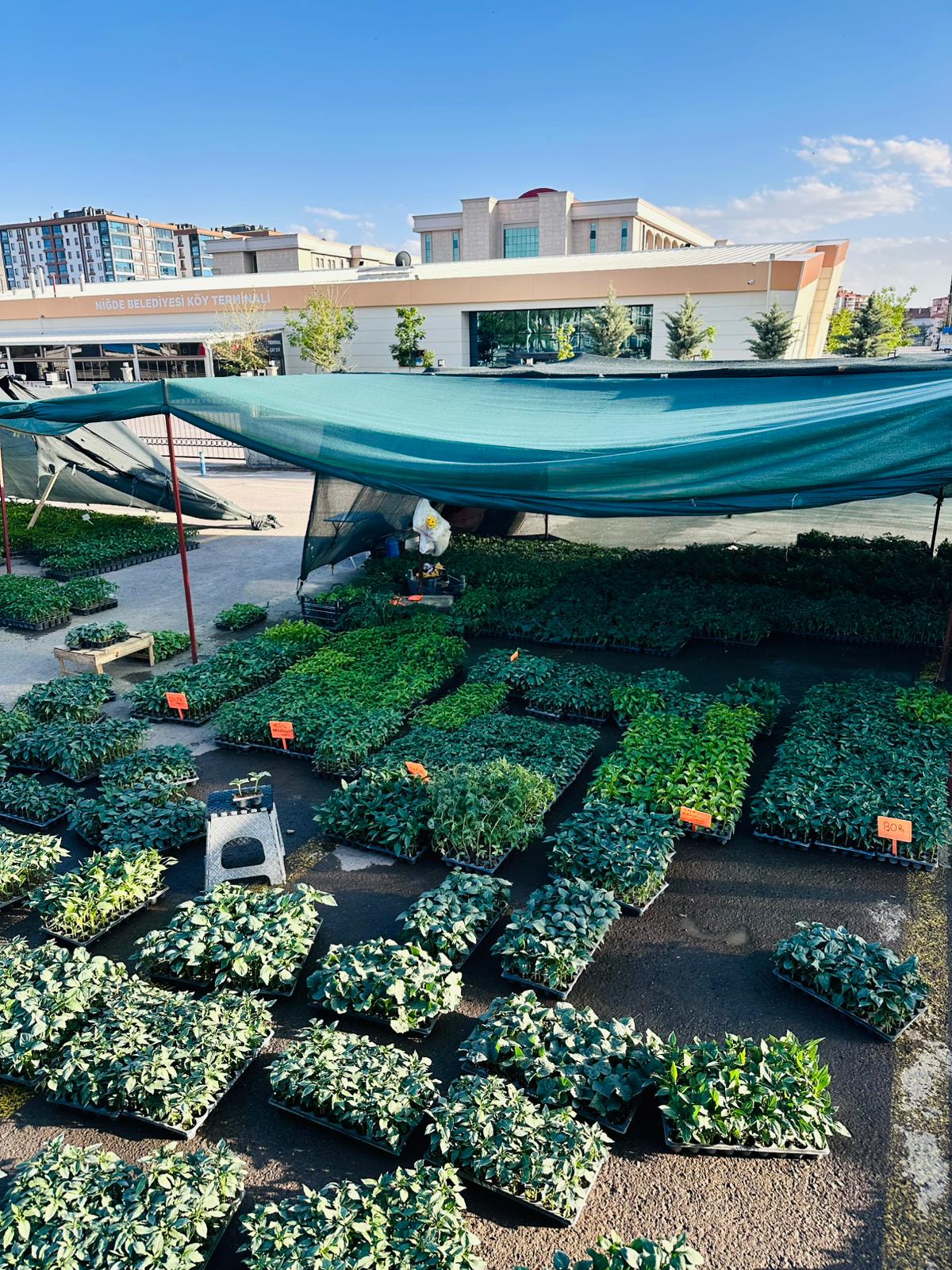 ÇETİN FİDECİLİK VE SERACILIK