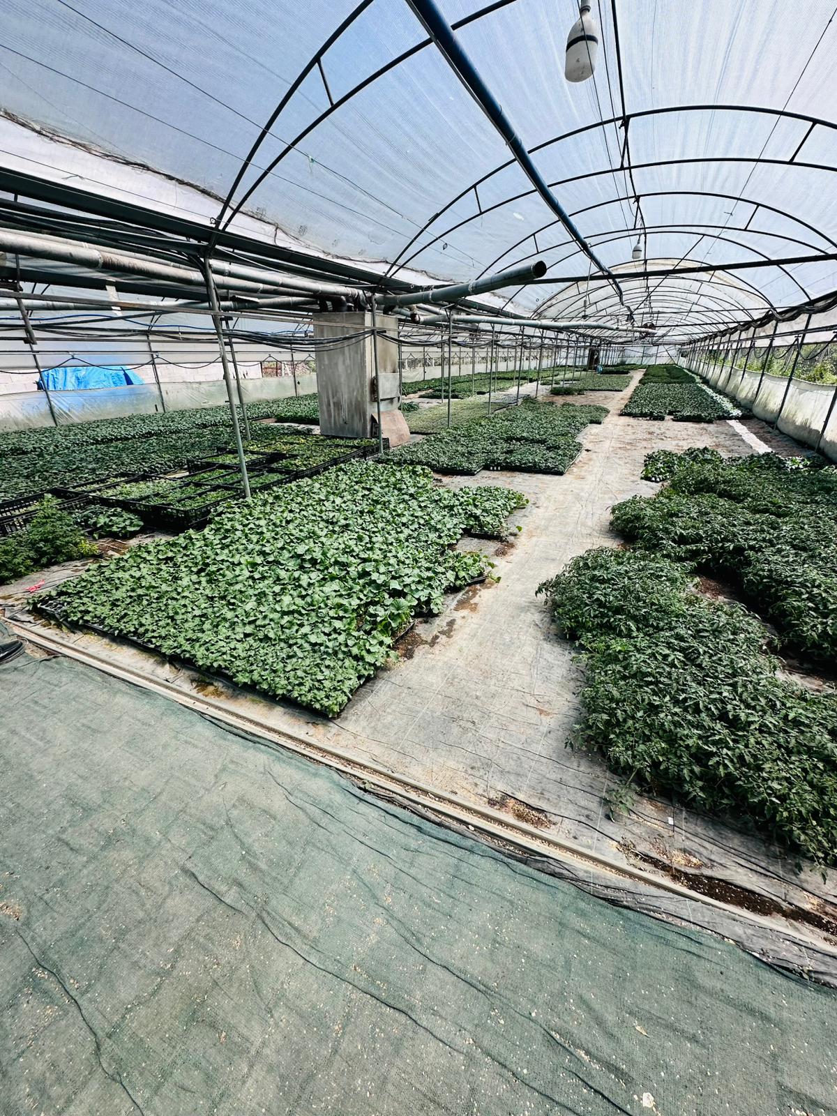 ÇETİN FİDECİLİK VE SERACILIK