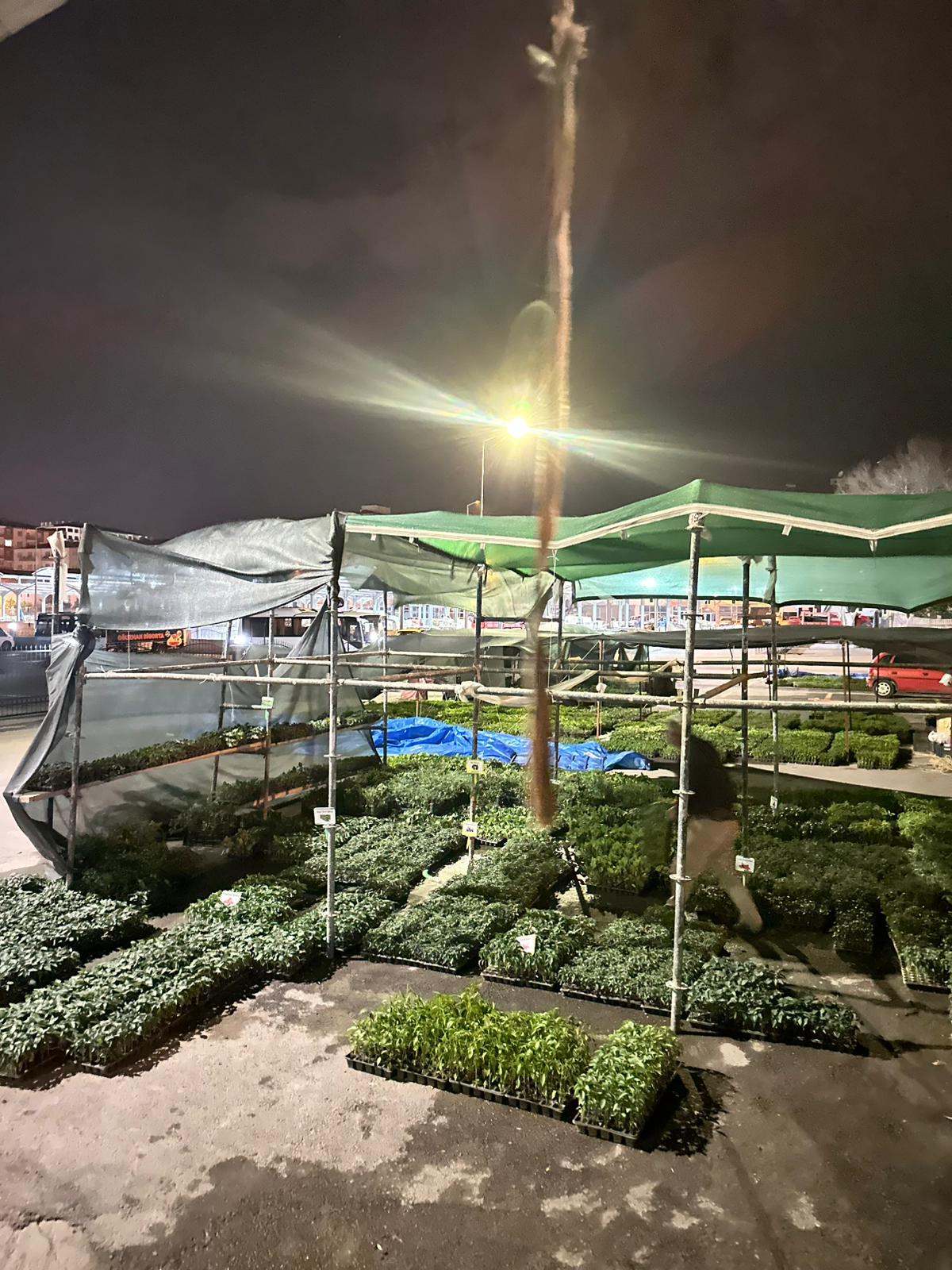 ÇETİN FİDECİLİK VE SERACILIK