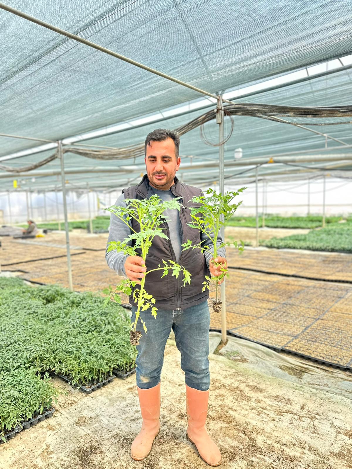 ÇETİN FİDECİLİK VE SERACILIK