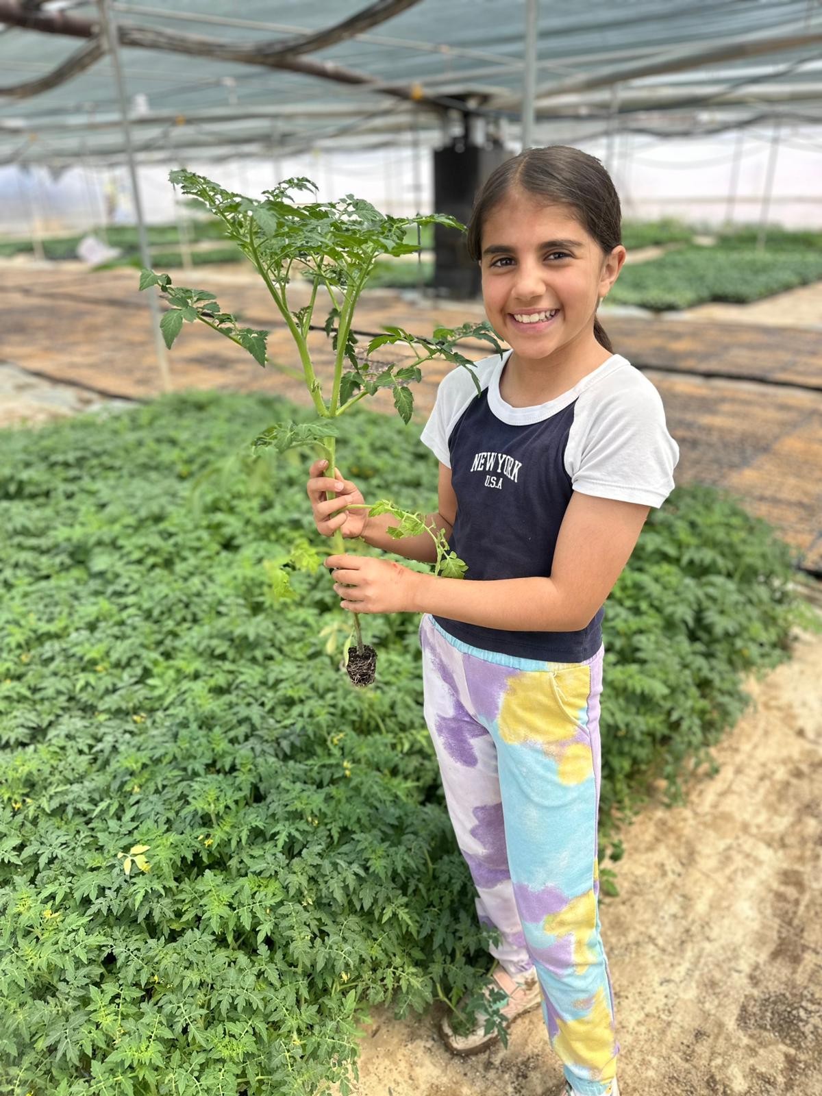 ÇETİN FİDECİLİK VE SERACILIK