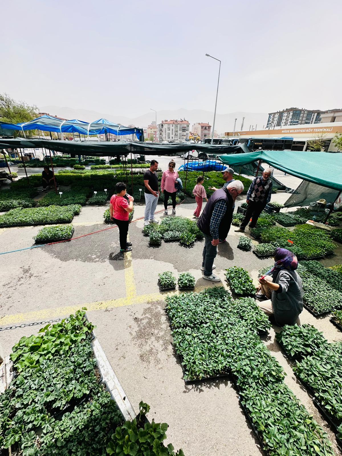 ÇETİN FİDECİLİK VE SERACILIK