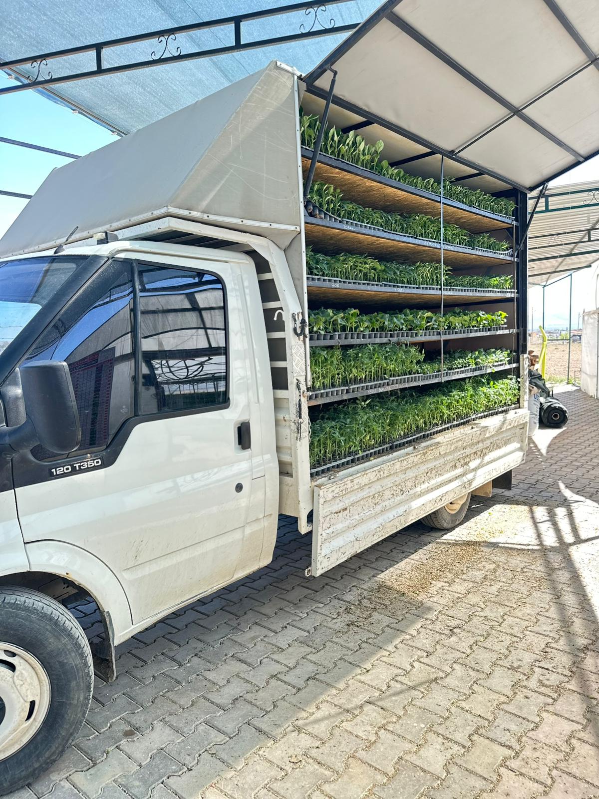 ÇETİN FİDECİLİK VE SERACILIK