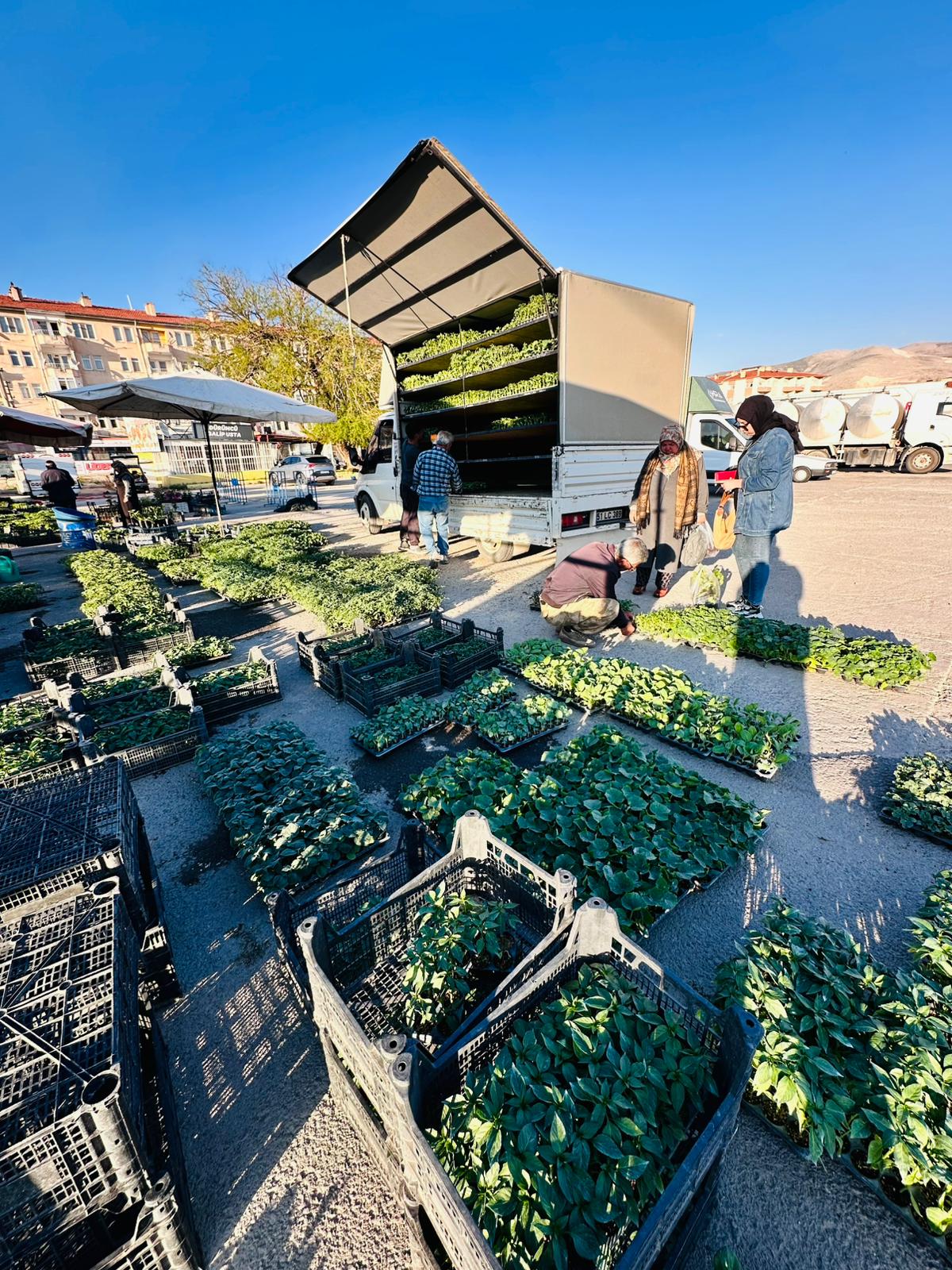 ÇETİN FİDECİLİK VE SERACILIK