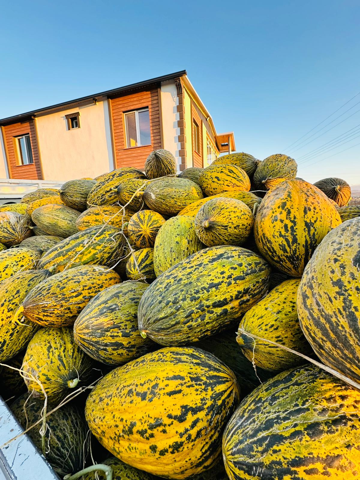 ÇETİN FİDECİLİK VE SERACILIK