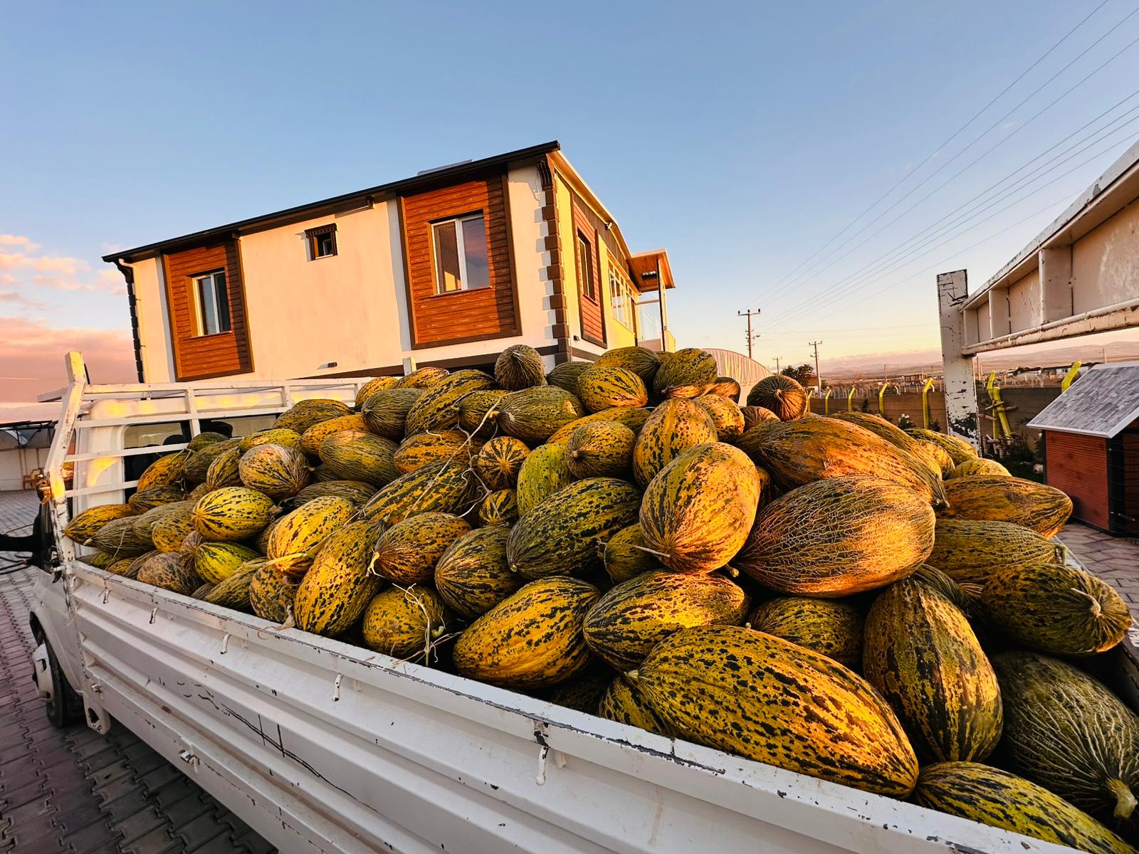 ÇETİN FİDECİLİK VE SERACILIK