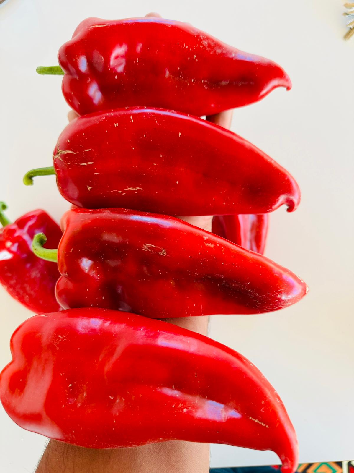 ÇETİN FİDECİLİK VE SERACILIK